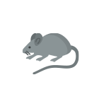 pest_control_type02