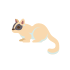 pest_control_type03